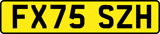 FX75SZH
