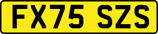 FX75SZS