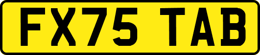 FX75TAB