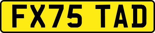 FX75TAD