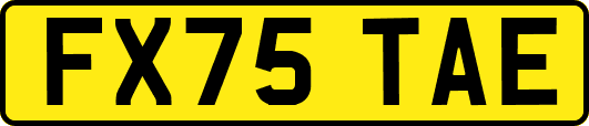 FX75TAE
