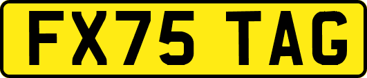 FX75TAG