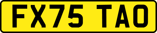 FX75TAO