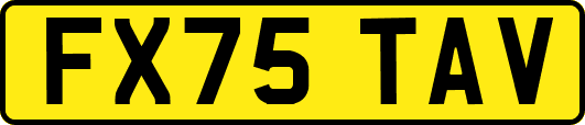 FX75TAV