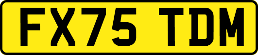 FX75TDM