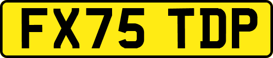 FX75TDP