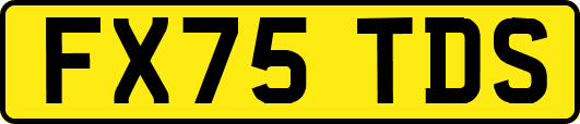 FX75TDS