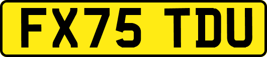 FX75TDU