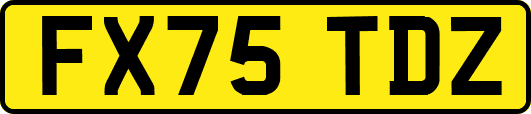 FX75TDZ