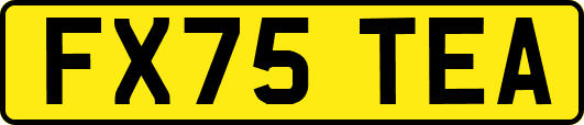 FX75TEA
