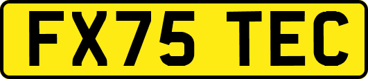 FX75TEC
