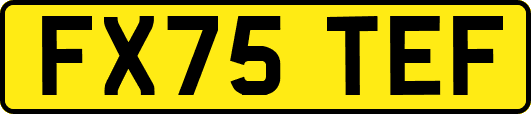 FX75TEF
