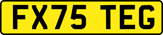 FX75TEG