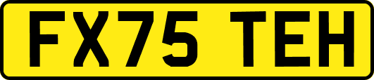 FX75TEH