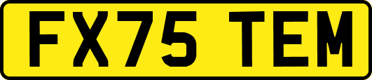 FX75TEM