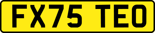 FX75TEO