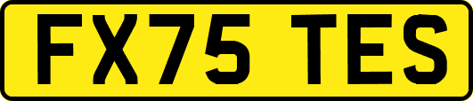 FX75TES