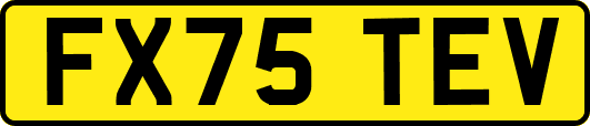 FX75TEV