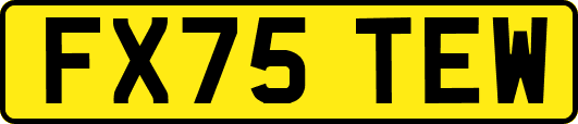 FX75TEW