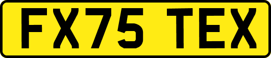 FX75TEX