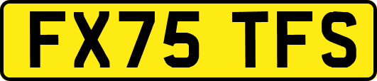 FX75TFS