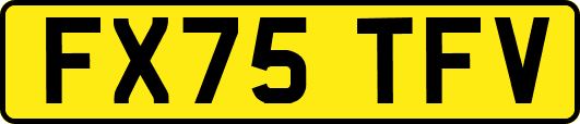 FX75TFV