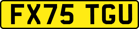 FX75TGU