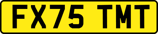 FX75TMT