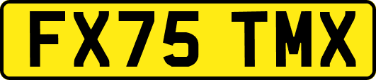 FX75TMX