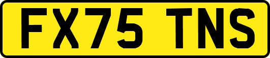 FX75TNS
