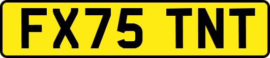 FX75TNT