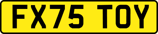 FX75TOY