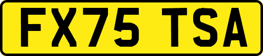 FX75TSA