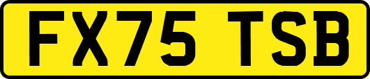 FX75TSB