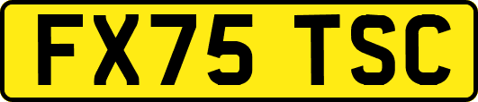 FX75TSC