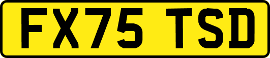 FX75TSD