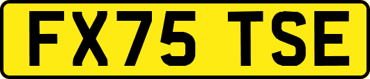 FX75TSE