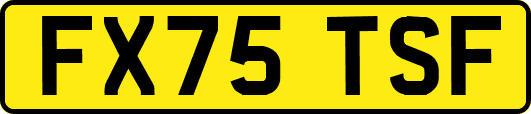 FX75TSF
