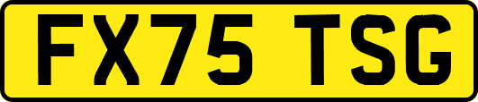FX75TSG