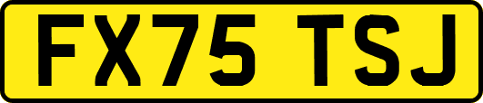 FX75TSJ