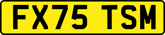 FX75TSM