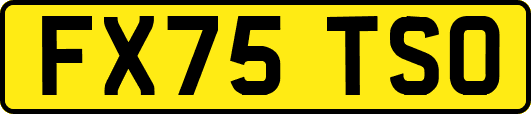 FX75TSO