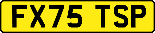 FX75TSP