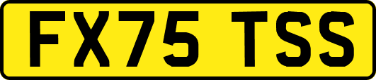 FX75TSS