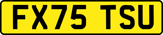 FX75TSU