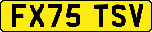 FX75TSV
