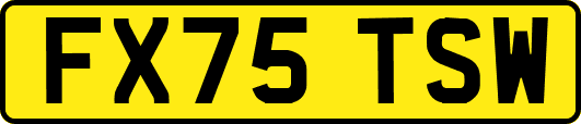 FX75TSW