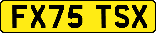 FX75TSX