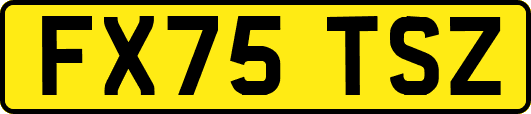 FX75TSZ