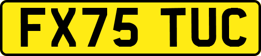 FX75TUC